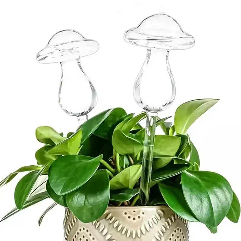 Dispositif d'arrosage des champignons en verre mini automatique Automatique Appareils d'eau créatifs arrosage de plante arrosage accessoires de jardin décoration de la maison