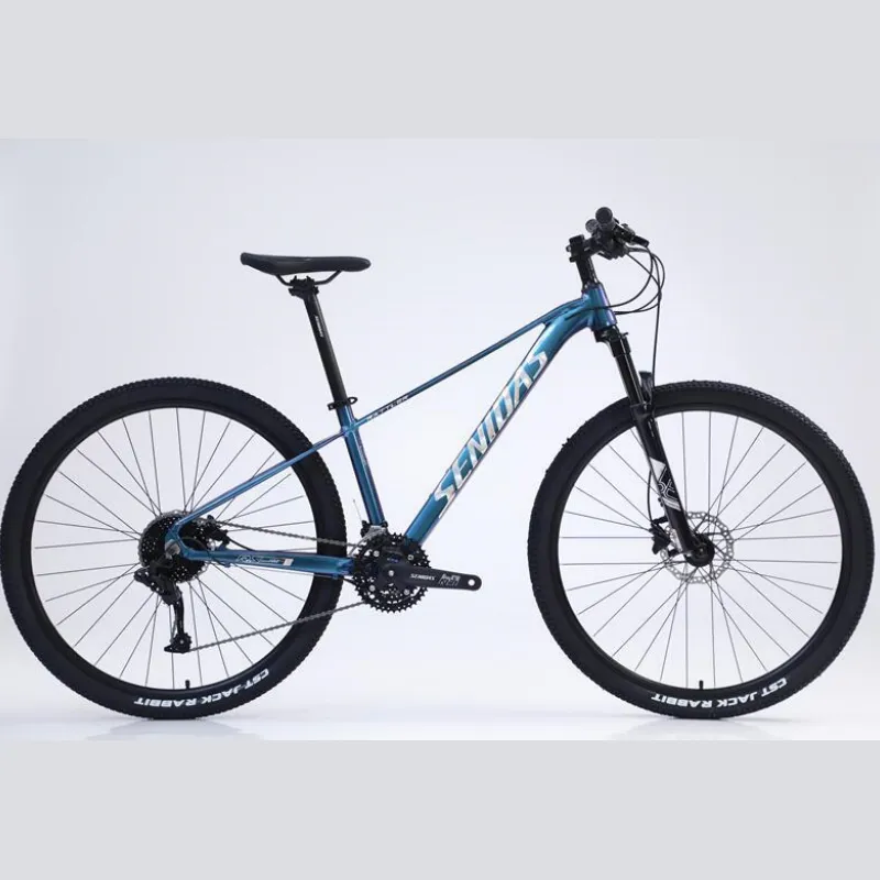 Full Suspension 2015 NAHBS] Silent Cycles 29er Rigid Mountain Bike