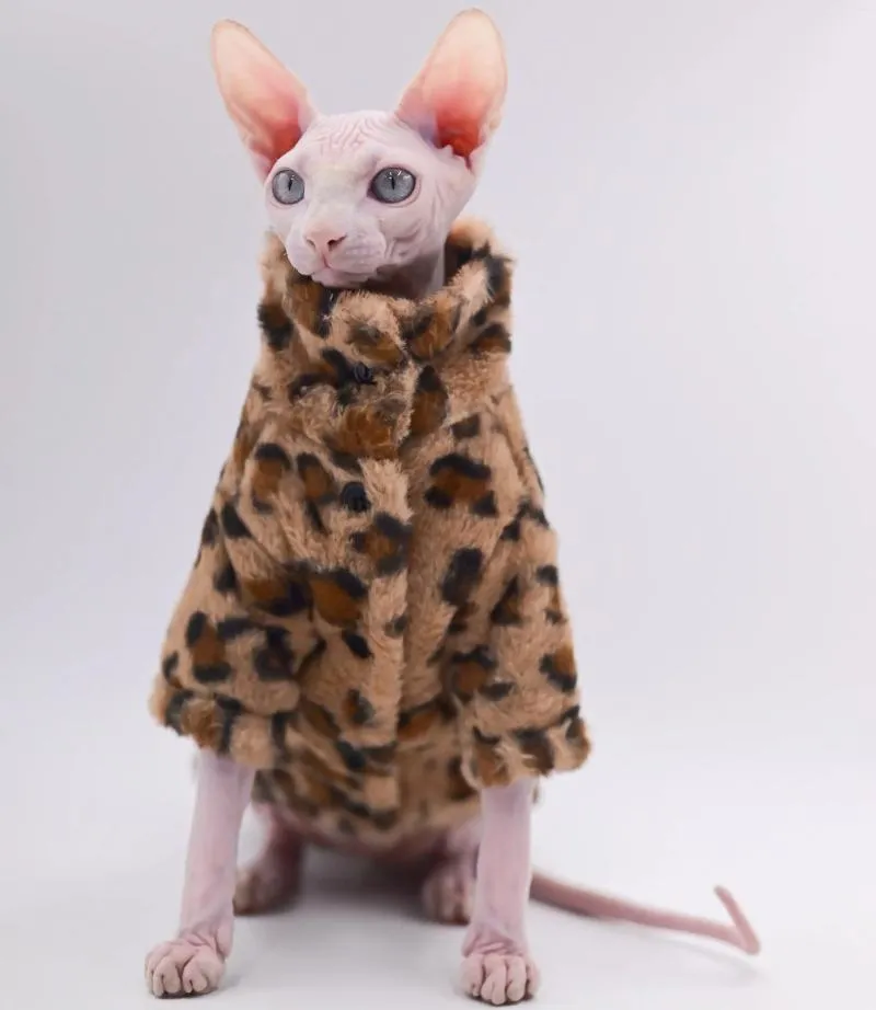 Costumes de chat Costumes des vêtements pour animaux épaisseur de veste chaude pour chats sans cheveux Sphynx Devon Rex et petit