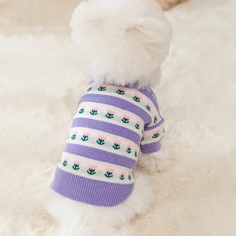 Dog Apparel Korean Tulip Clothes Knitted Striped Sweaters Dogs Clothing Trendy Bear Casual Comfortable Warm Autumn Winter Ropa Perro