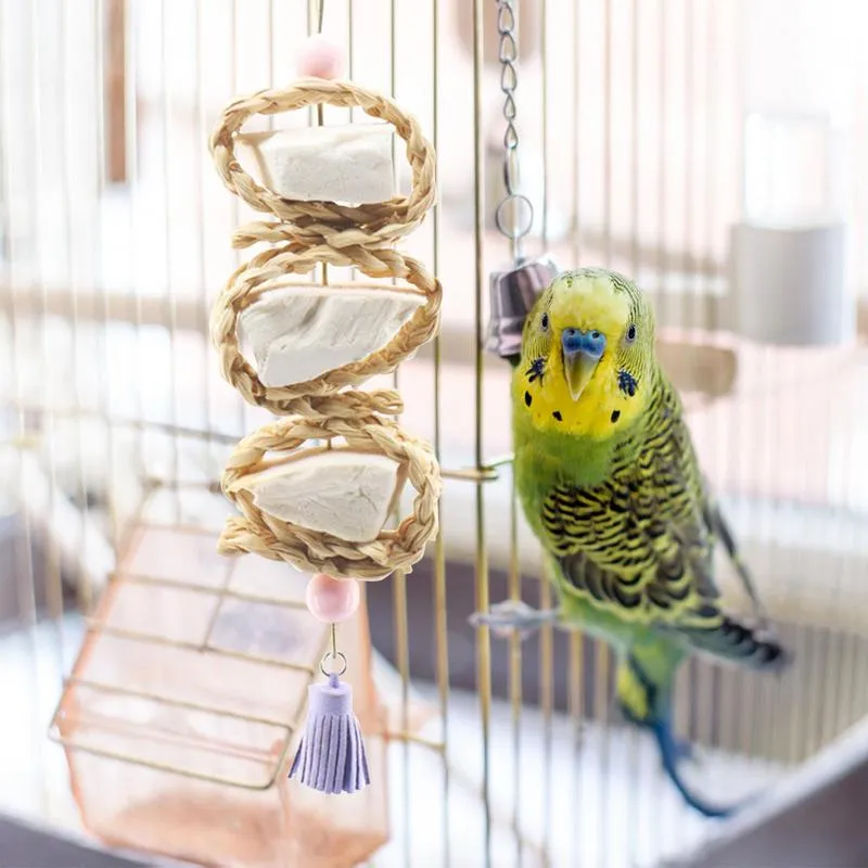 Grands jouets de perroquet jouets de parakeet oiseaux cage jouets mâtes naturels pour les perruches de pute