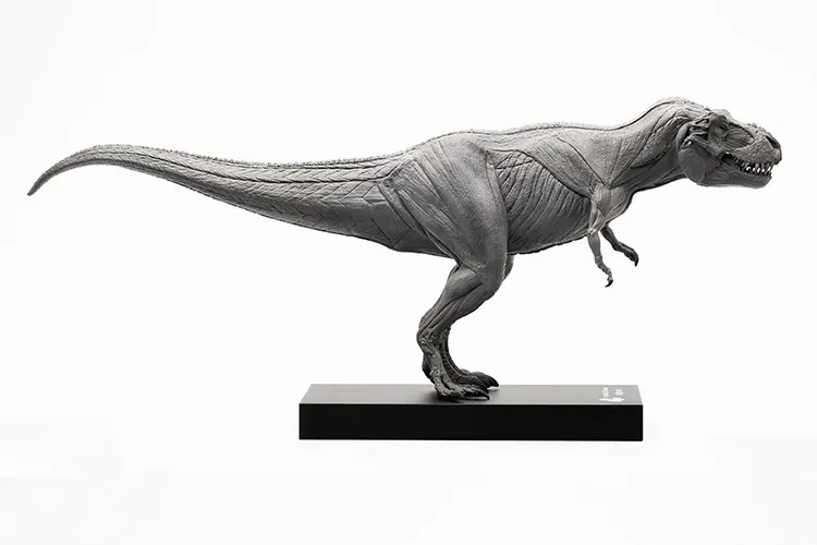 Évolaboratoire 1/32 Anatomie musculaire Tyrannosaurus Rex Modèle Dinosaure Animal Figure Collector Decor Scene GK Birthday Gift Toy