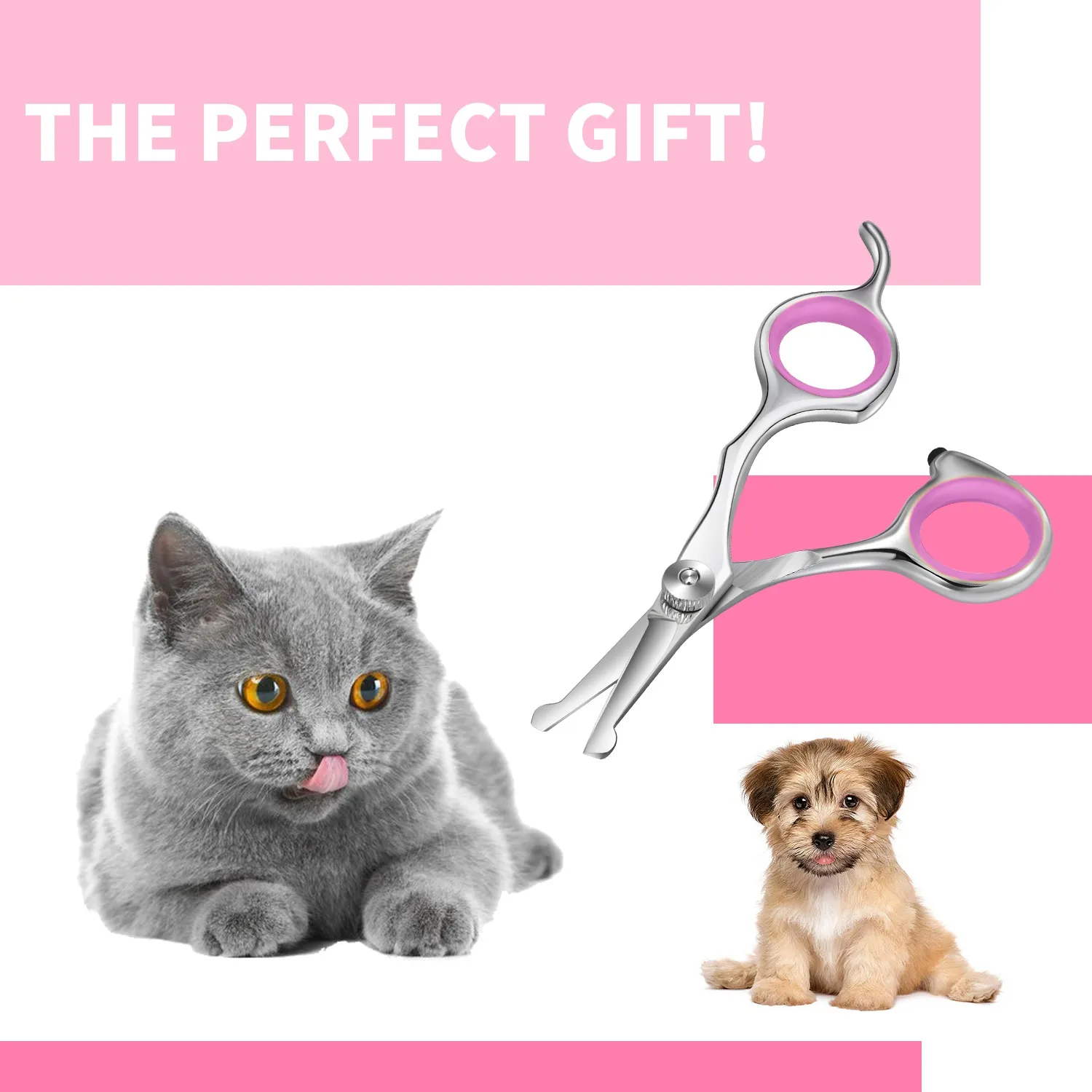 Professional Round-Tip Pet Grooming Scissors - Safe Cat & Dog Hair ...