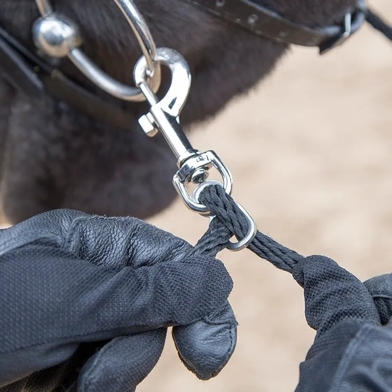 paardenspanapparatuur zachte lunge aid