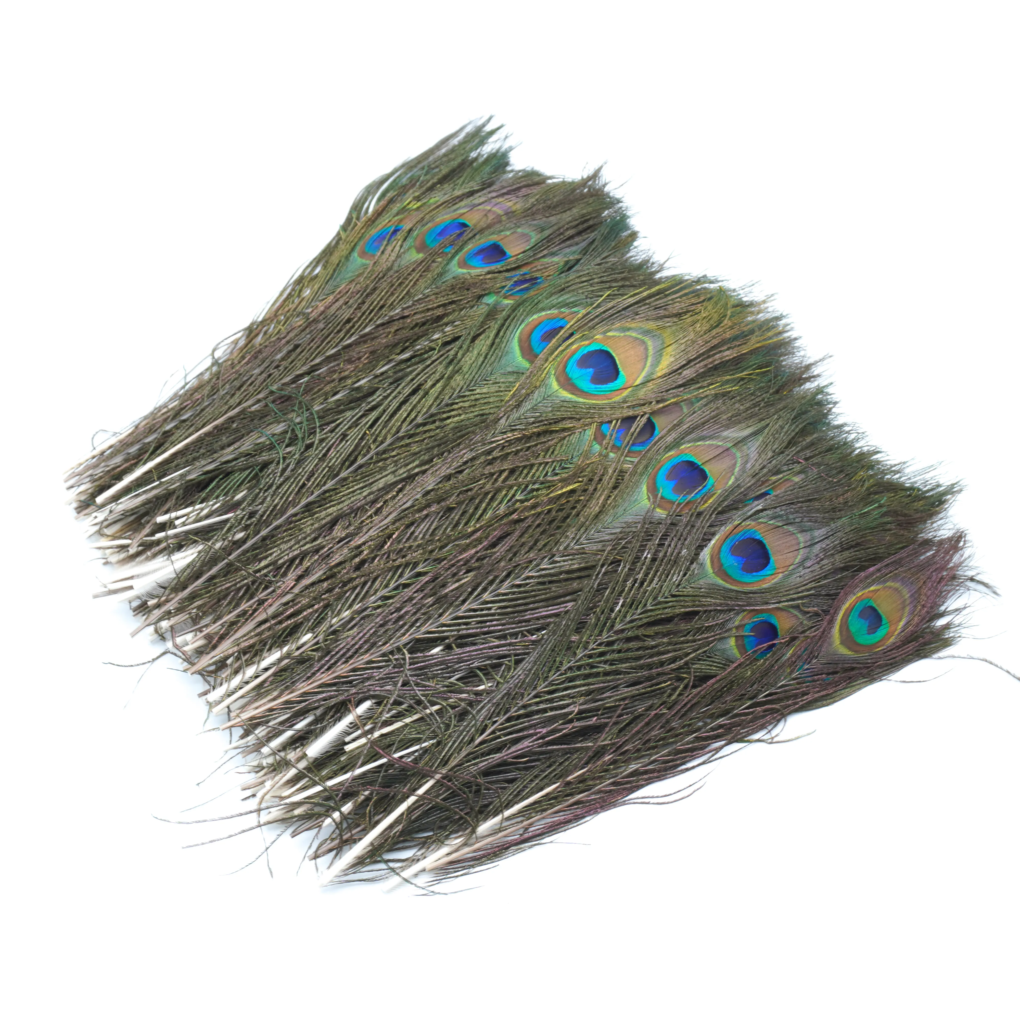 Natural Peacock Tail Eye Feathers 25-30Cm for DIY Craft Accessories Home Decor Wedding Hotel Vase Decorations Plumas