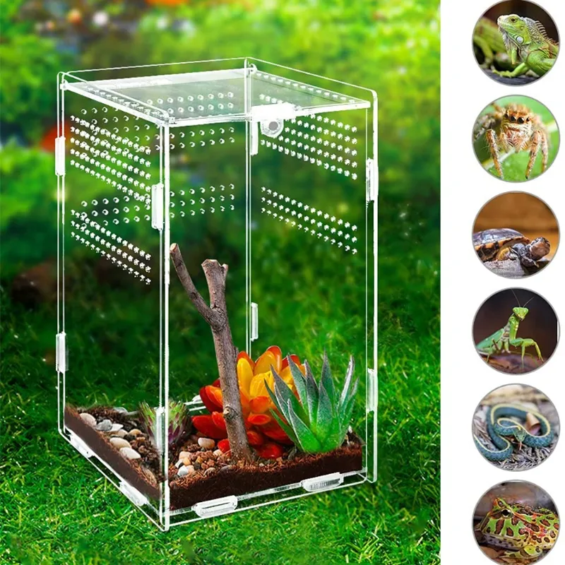 Case da riproduzione degli insetti di alimentazione di rettili Habitat acrilico per rana rana rana portatile terrarium terrarium habitat insetto chiaro