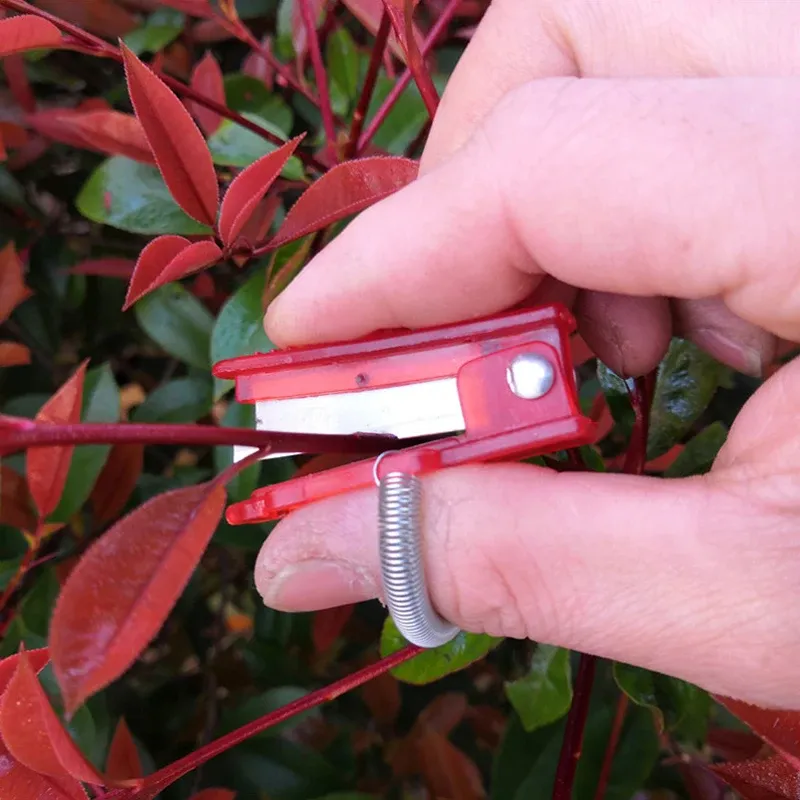 1/2/3pcs Gemüse Dummkopf Messer -Separator Gemüse Obsternte Ernte Werkzeug Obst -Picker für Bauernhofgartenwerkzeuge