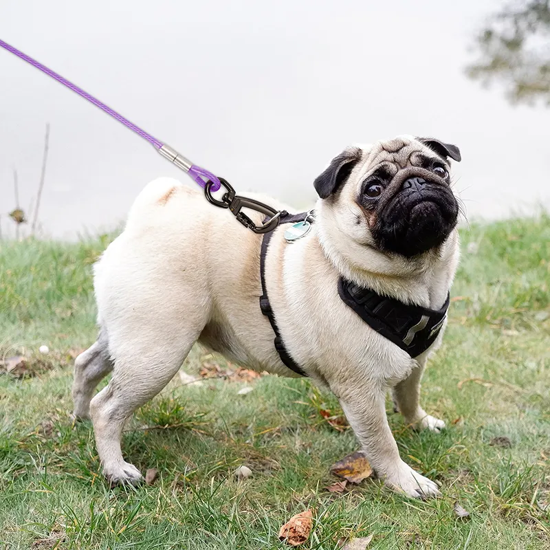 Hundband ut kabel 3/9/15m hundlöpare för gårdsståltråd hund koppel med hållbara överlägsna klipp utomhus hundkedjor stor hund ledare