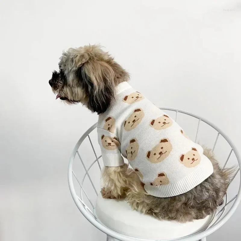 Vêtements pour chiens ours tricot de pull en tricot petit pour chiens vêtements tenues de compagnie mignons d'automne d'hiver coton yorkies imprimé mascotas bleu garçon