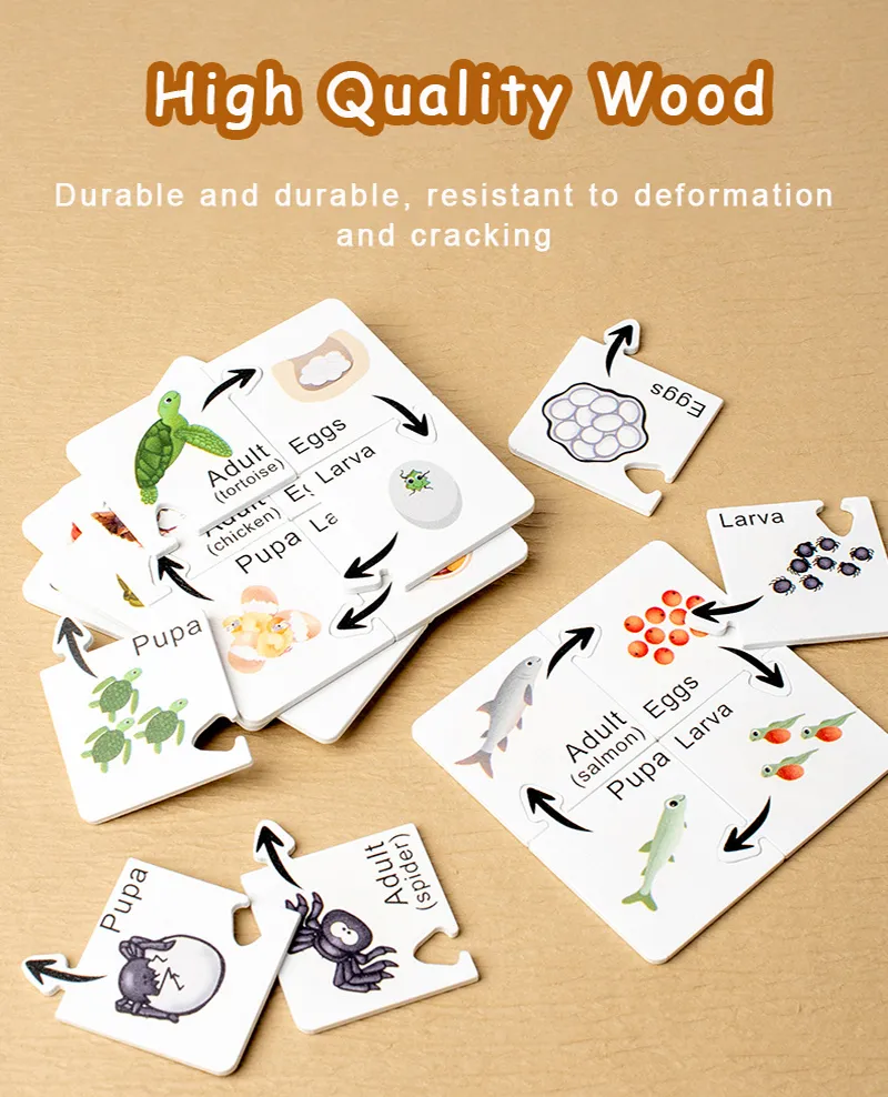 Montessori Life Cycle Puzzle Toy Animal Life Cycle Board Biology Cognitive  Teaching Aids Wooden Early Childhood Educational Toysを￥1,725 | DHgate, image size:800x988