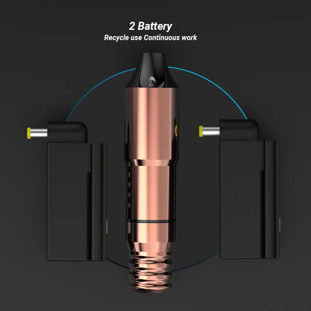 Kit de tatouage professionnel stigmatisant tatte tatte tatte machine à aiguille cartouche tatouage pistolet dc 5.5 interface body artiste em125