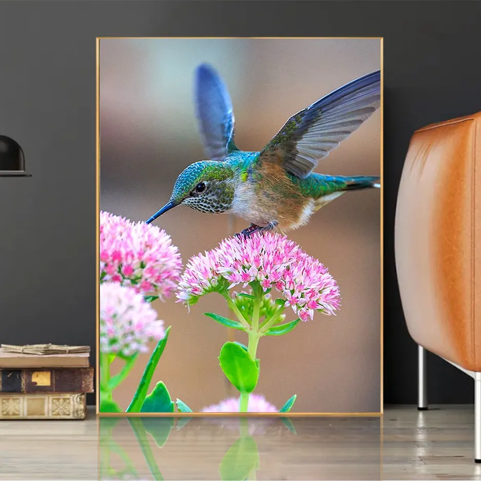 Hummingbird 5D Diamond Painting Kits Full Square/Round Diamond Mosaic Bird Pictures Rhinestone Embroidery DIY Home Decor