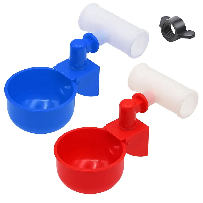 20 Pcs Bird Pigeon Waterer Bowl Automatic Drinker ... – Grandado