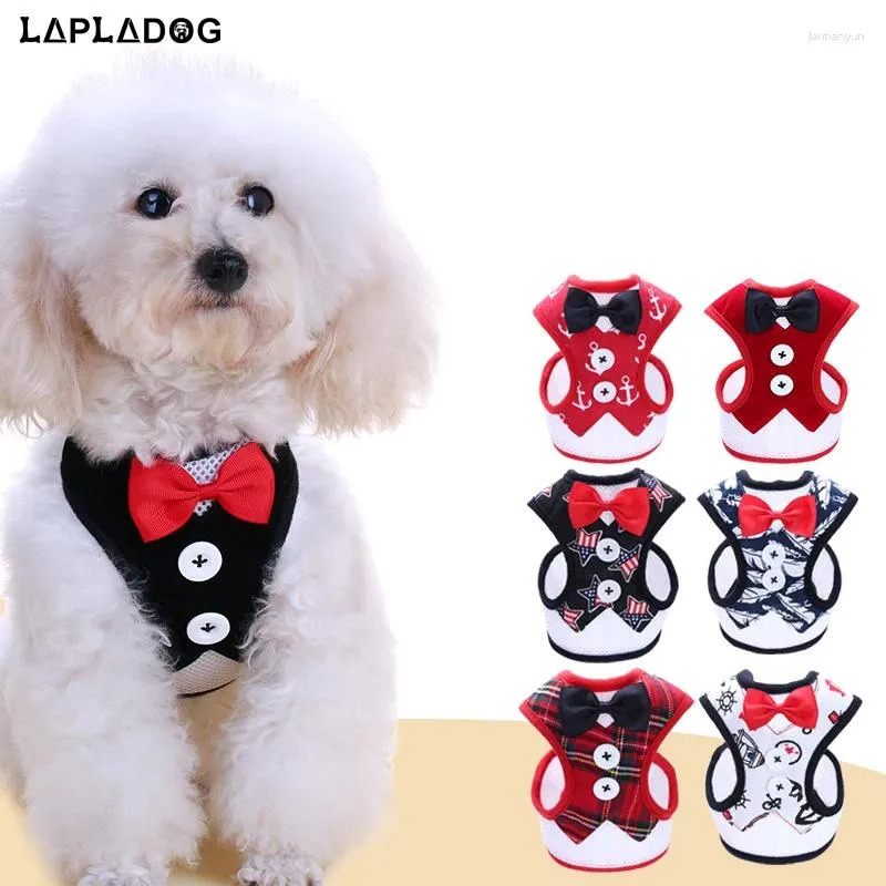 Hundhalsar Lapladog Small Clothes Collar Valp Harness Cat Leash Handmade Fairy Princess Pets Pets Bowtie Gentleman Vest Set PT232