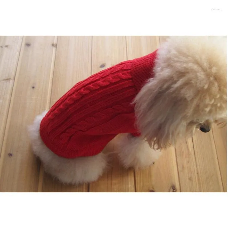 Appareils pour chiens Keep chauds Vêtements d'hiver confortables Pid Pulte en tricot