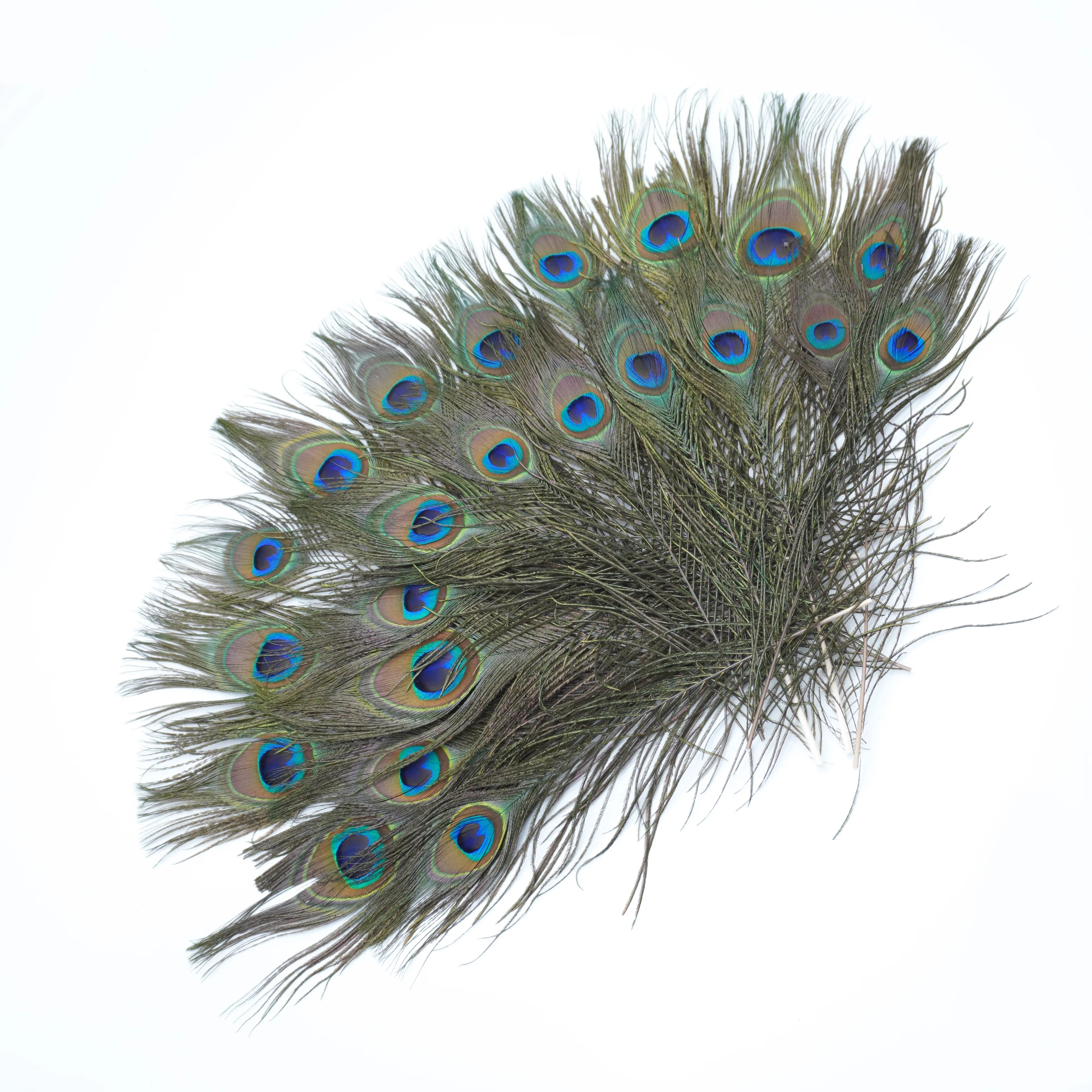 Natural Peacock Tail Eye Feathers 25-30 cm pour les accessoires d'artisanat bricol