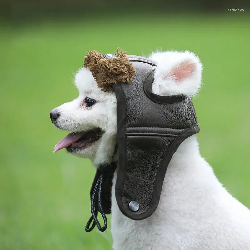 Ropa para perros 2024 accesorios para mascotas de otoño/invierno sombrero piloto de cuero tibio de cuero teddy coincidencia saliente