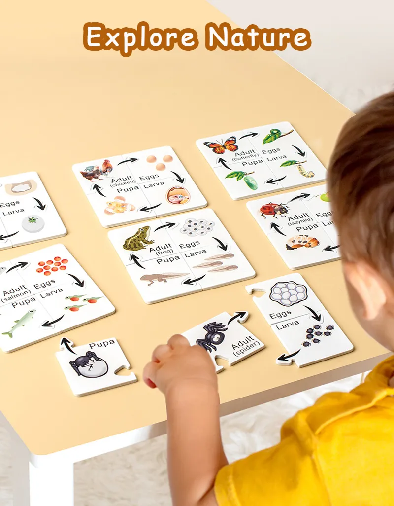 Montessori Life Cycle Puzzle Toy Animal Life Cycle Board Biology Cognitive  Teaching Aids Wooden Early Childhood Educational Toysを￥1,725 | DHgate, image size:800x1026