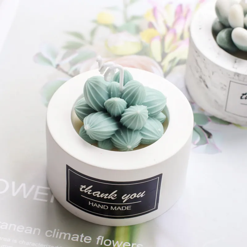 DIY Succulent Cactus Silicone Moule de plante Modeling Cougie Moule Fondant Cake Chocolate Moule de boulange