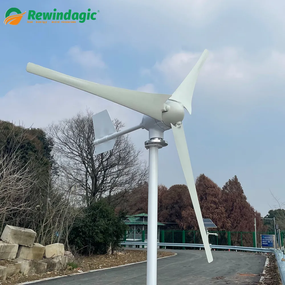 China Factory 1500W 2000W Wind Turbine Generator 48V 24V 12V Windmill Horizontal Wind Free Energy With MPPT Controller For Home