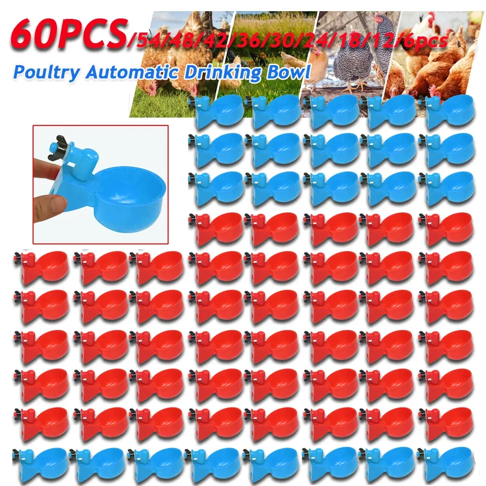 6-60pcs bebedores automáticos alimentador de frango Chicken Drinking Copo Red Azul Azul Fazenda de água Copos de bebida para frango