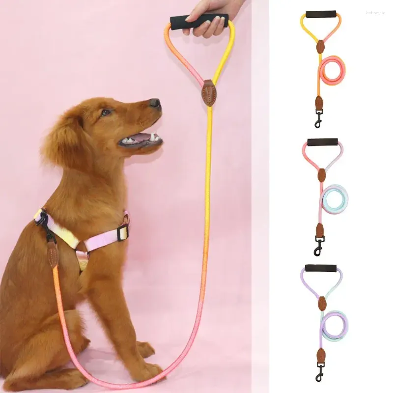 Hondenkragen tractie touw butler's hand nylon ronde gewaagde producten huisdier wandelen grote y0d0