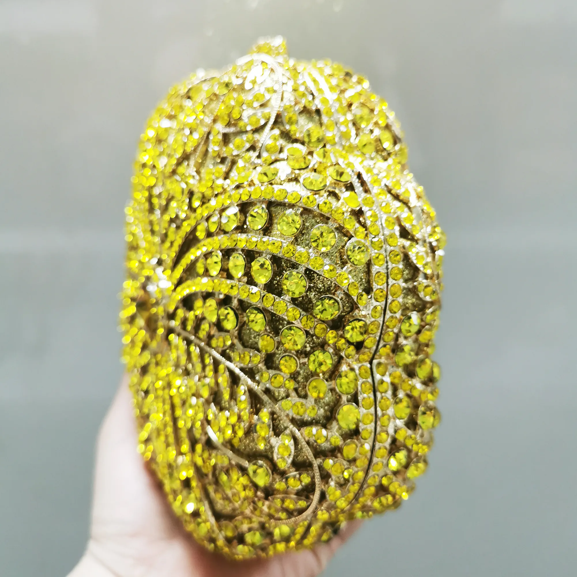 公式通販 - 人気アイテム多数 Od 302,15 DHgate zł| その他多肉植物