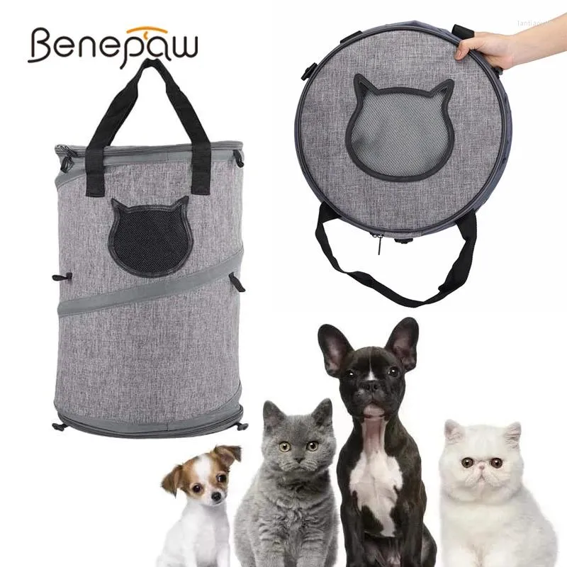 Кошачьи перевозчики Benepaw многофункциональный расширяемый перевозчик Портативный дышащий воздухопроницаемый котенок котенок. Котенок.