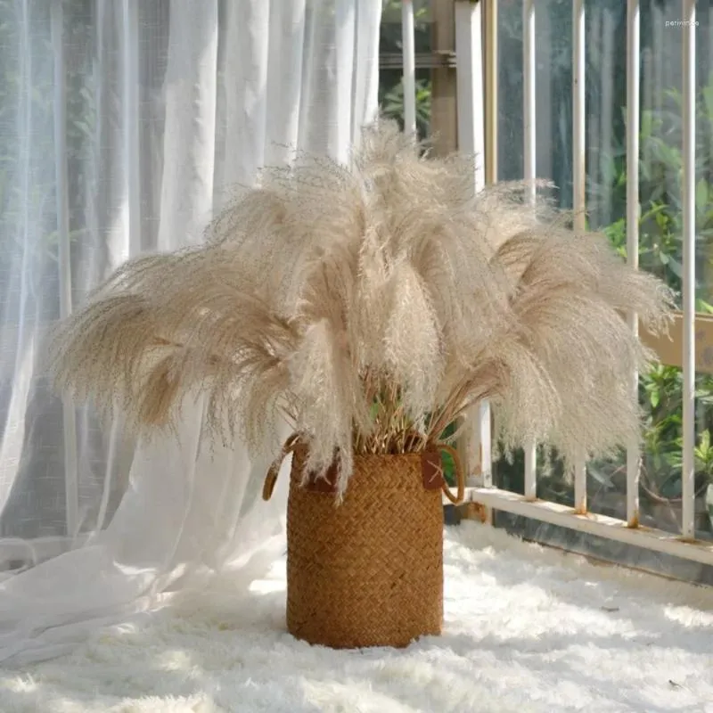 Fleurs décoratives 20pcs Fleur séchée naturelle Real Pampas Grass Bouquet Mariage de mariage Automne Décoration Plantes artificielles duvelutes Boho Home