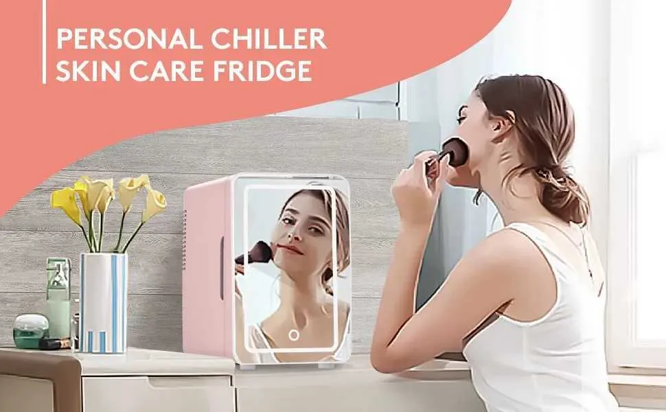 6L skin care fridge