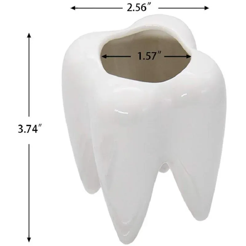 Penna ceramica a forma di dente Porta a matita Provi di stoccaggio Contenitore Penne Penne Organizzatore Dentista Dentista Decorazione clinica