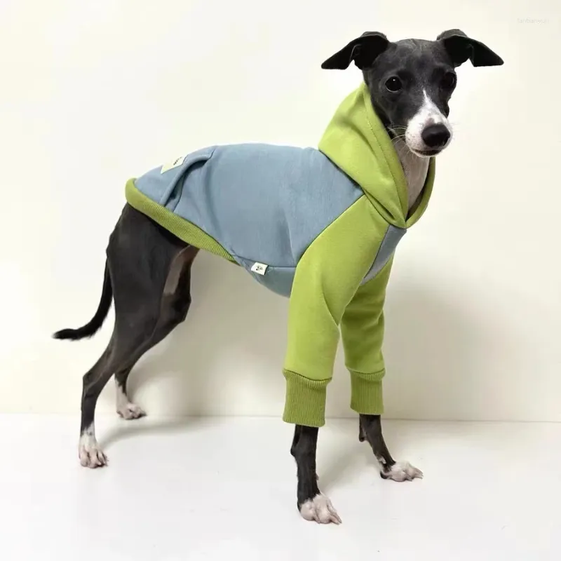 犬のアパレル冬の肥厚フード付きカラーブロックペットスウェットシャツ温かいグレイハウンドホイペット大規模な服