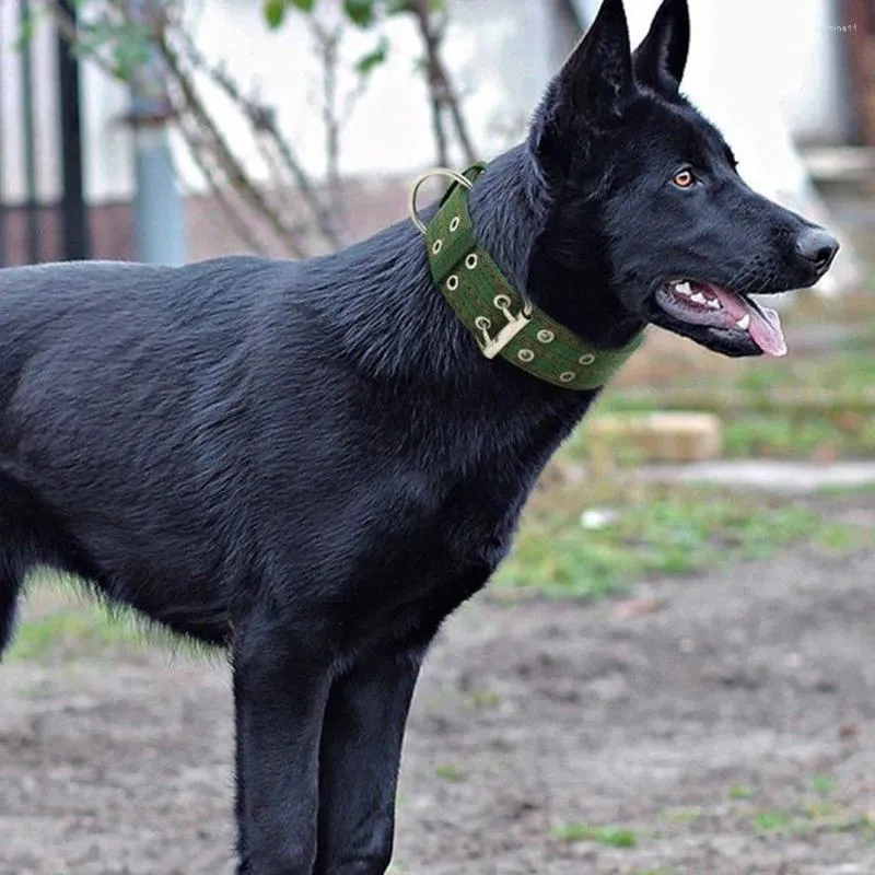 Köpek Giyim Dayanıklı Taktik Yakalı tasma seti ayarlanabilir askeri evcil hayvan orta büyük Alman çoban eğitim aksesuarları