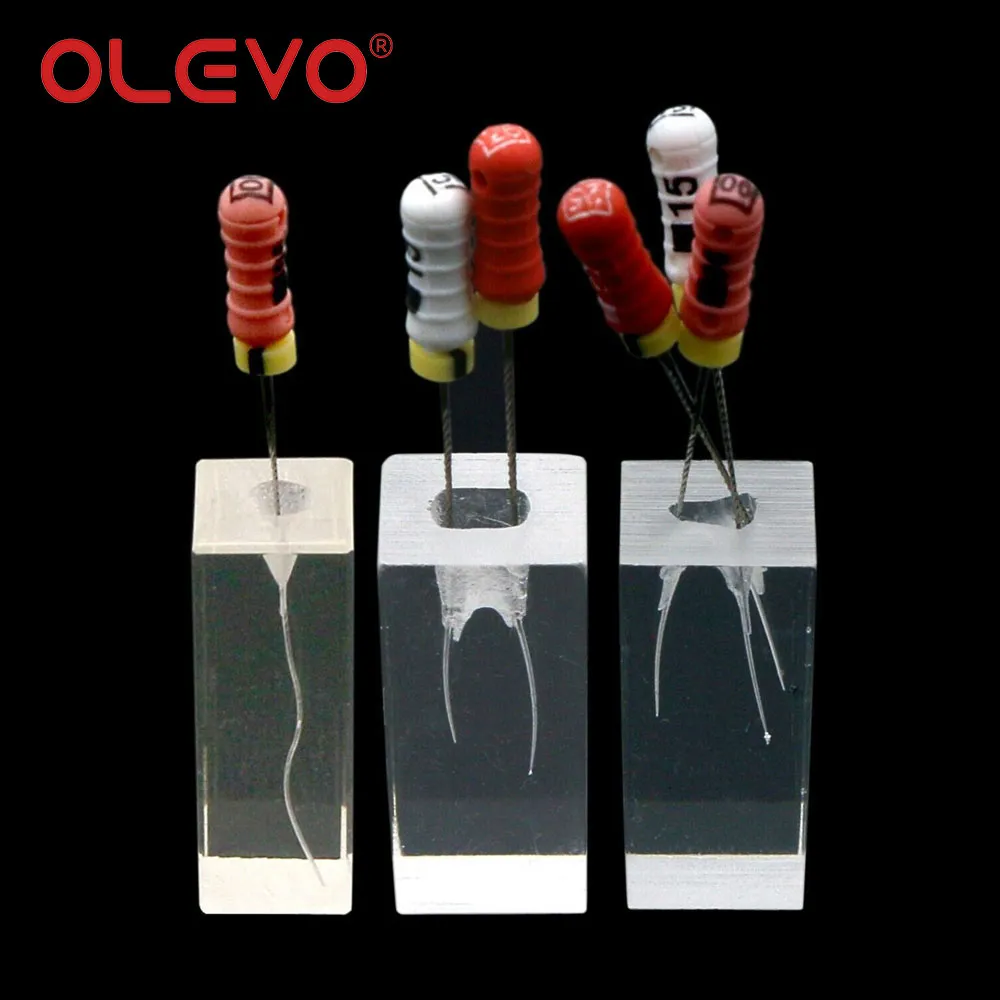 Dental Model With 28pcs Root Canal Block Training Tooth Pulp Cavity Practice Model Full Mouth Removable Teeth Typodont Training
