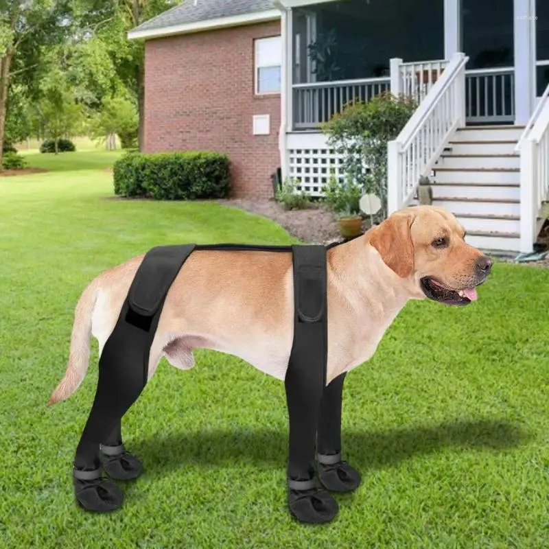 Zapatos para mascotas de ropa para perros con cinta adhesiva para perros activos botas de suspensión impermeables senderismo de nieve de invierno anti-slip lluvia