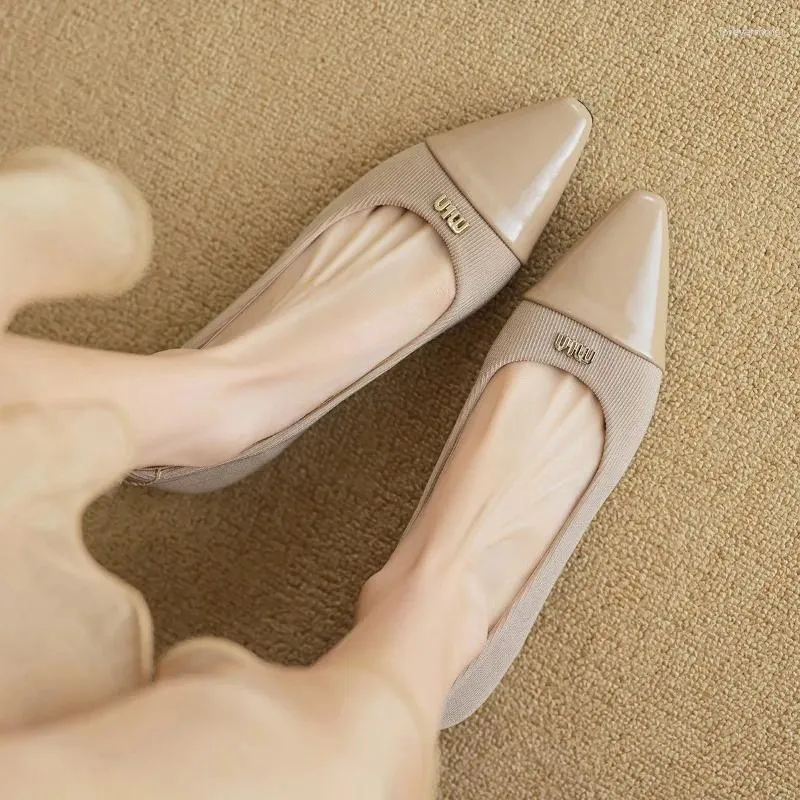 Buty swobodne wskazane dla kobiet grube obcasy Płytkie usta Koreańska wersja wsuwana wróżka miękka podeszwa Mary Jane Zapatos de Mujer