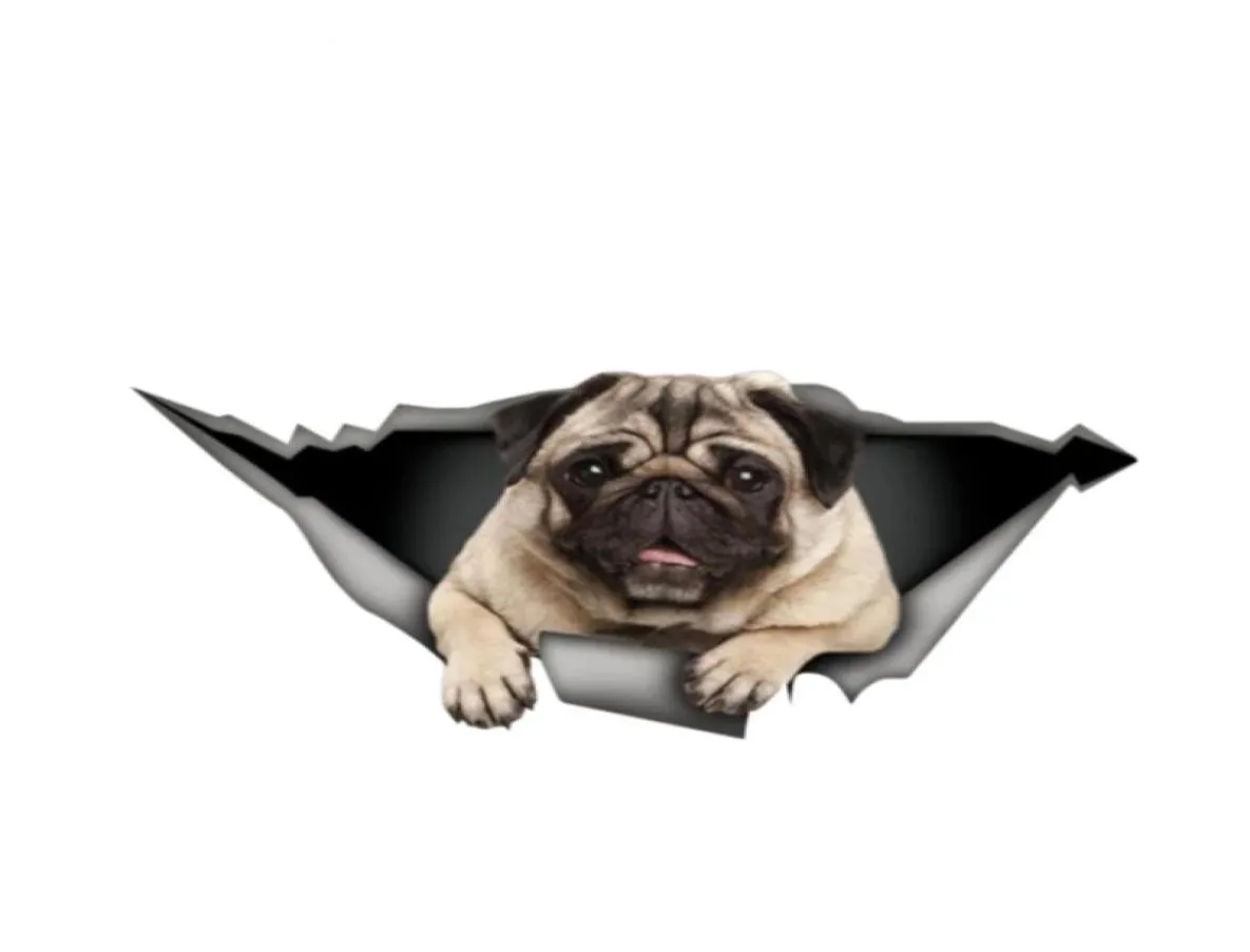 Qualtiy 1572cm Pug Sticker 3D Pet Car Window Laptop verwijderbare sticker CA40113359176