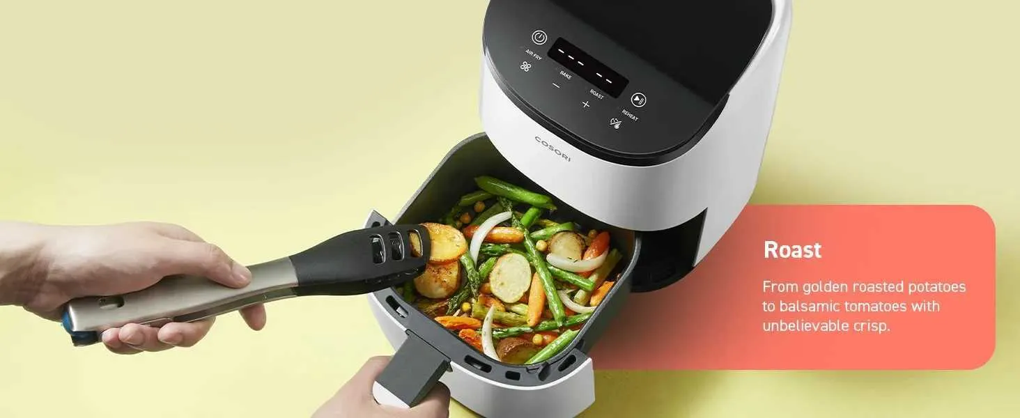 Mini Air Fryer