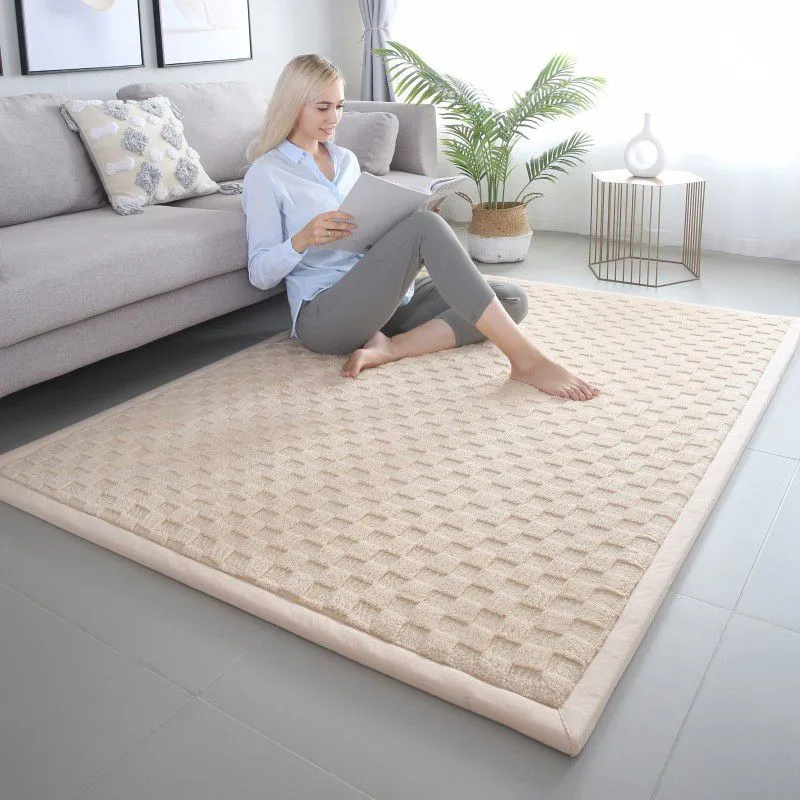Thick Rug 2cm Extra Thick Shaggy Carpet - Cozy Living Room Floor Rug for Bedroom ...