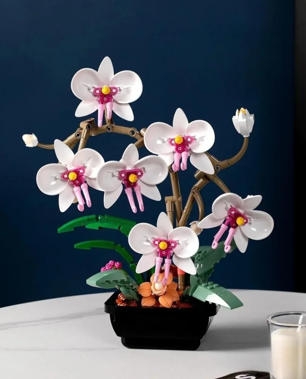 Orchid Building Blocks: Eternal Flower Model Bouquet Toy Bricks
