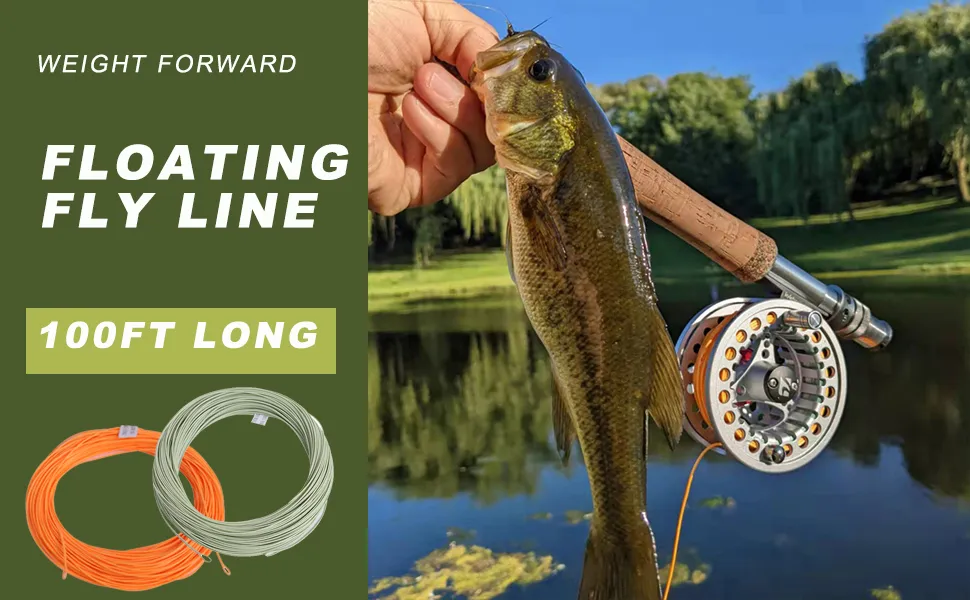 Fly Line: Weight Forward Floating Fly Fishing Line with Double Micro ...