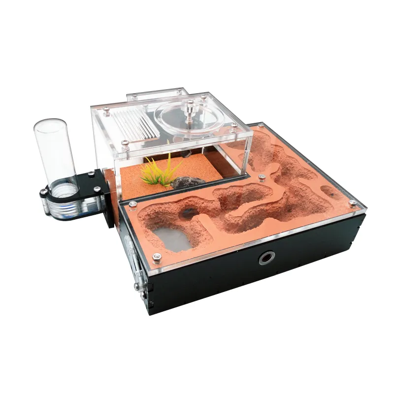 Wholesale Ant Farm Mini CC With External Water Tower Moisturise Ant ...