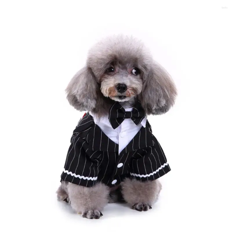 Costume de costume à rayures élégant pour chien avec des chemises de cosplate à nœud