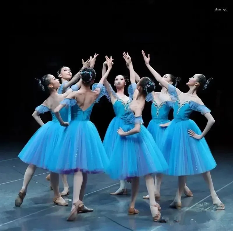 Bühnenbekleidung Ballettrock Performance Kinderwettbewerb Professionelle Kleidung Himmelblau Langes Baldachin