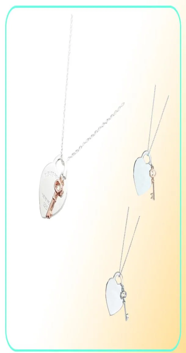 Hart- en belangrijke hanger ketting voor vrouwen 925 zilveren sterling luxe sieraden geschenken CO Drop 2203302189867