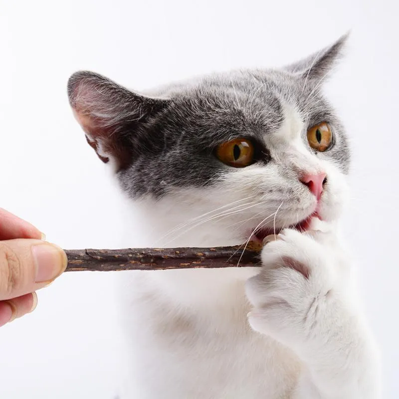 Natural Catnip Pet Cat Molar Toothpaste Stick Pet Cat Kitten Chew Toys Stick Fruit Matatabi Cat Snacks Pet Teeth Cleaning Sticks