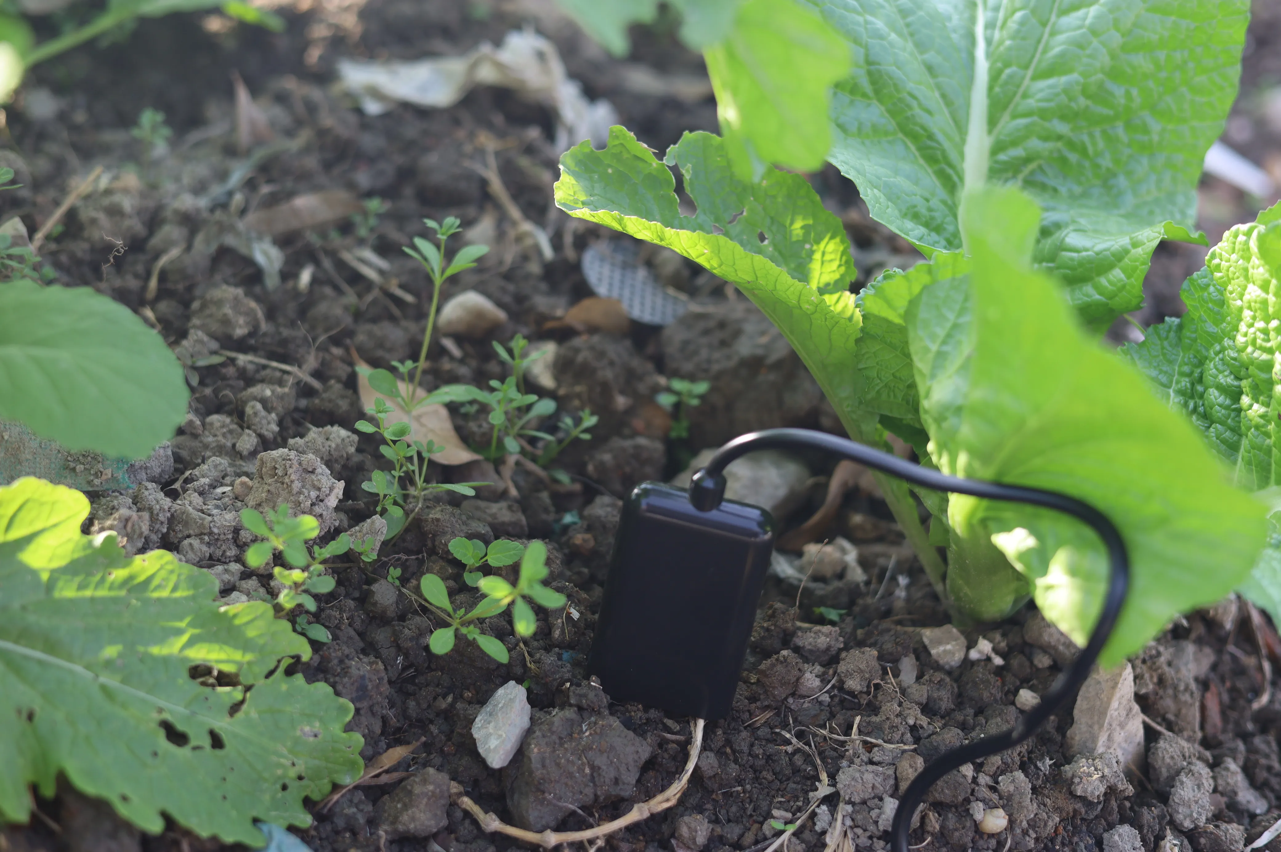 Measuring and Logging Soil Moisture Temperature Humidity EC PH NPK ...