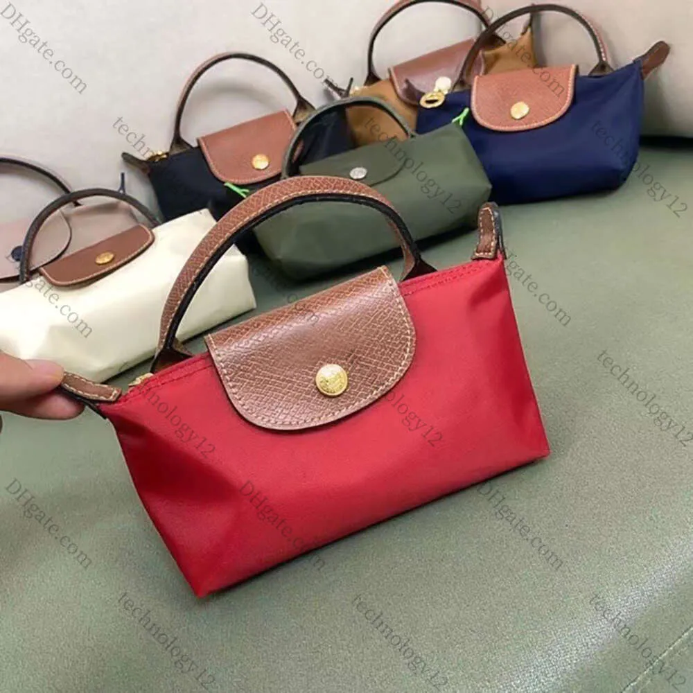 2024 Designer Mini Handbags Pillow Bags Luxury Canvas Bucket Bag Hobo Nylon Handbag Handel and Flap Are 100c Owhideg Enuinel Eathers Houlderb Agsf Orw Omenl Adyp Urse
