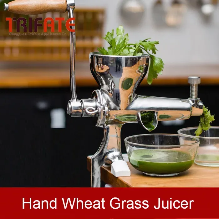 Juicers Stainless Steel wheatgrass juicer Auger Slow squeezer Fruit Wheat Grass Vegetable orange juice press extractor