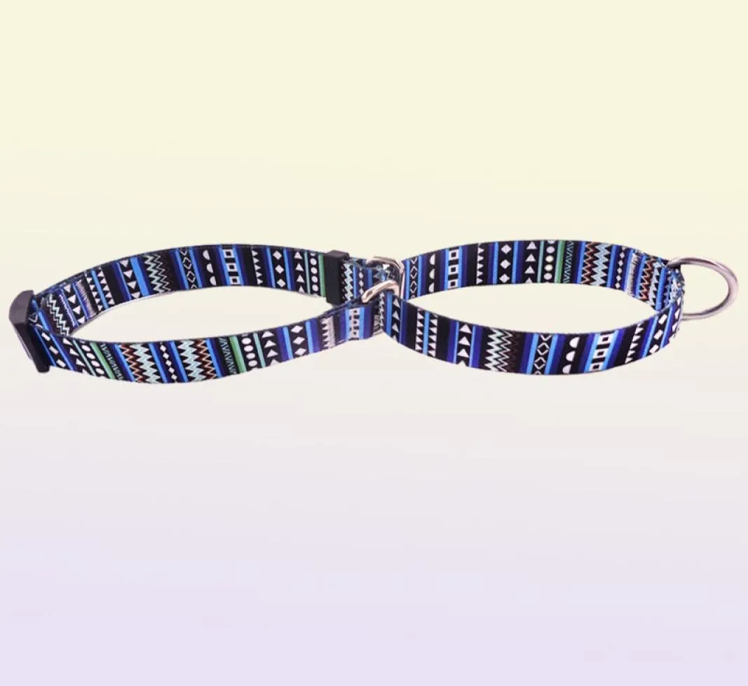 Bohemian British Style Pet Dog Collars Comfortable Colorful Adjustable Martingale Collar Fadeproof Sublimation Printing Designer B1965319